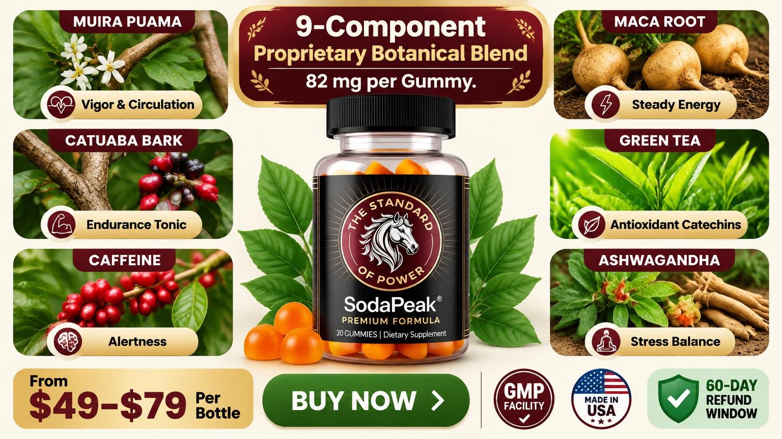 Soda Peak Gummies ingredient card showing muira puama, maca, catuaba, green tea, caffeine and ashwagandha tiles with benefits, price strip and Buy Now button