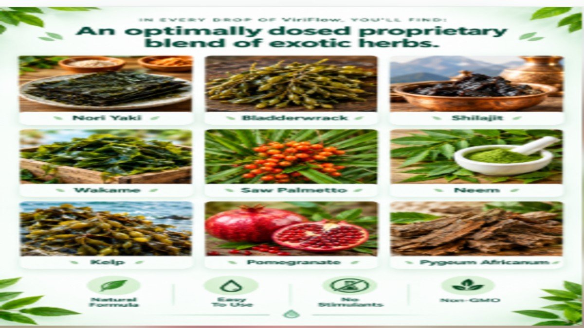 Viriflow nine natural ingredients for prostate health including seaweed, Saw Palmetto, pomegranate, and Shilajit