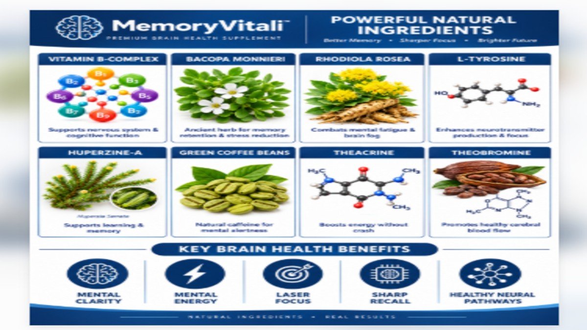 MemoryVitali brain supplement bottle with three pricing packages showing savings and buy now buttons